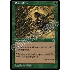 Root Maze rara (EN) -NEAR MINT-