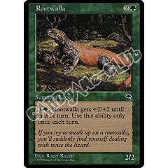 Rootwalla comune (EN) -NEAR MINT-