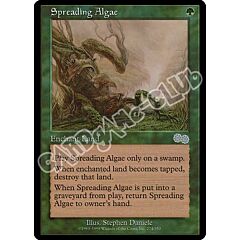 274 / 350 Spreading Algae non comune (EN) -NEAR MINT-