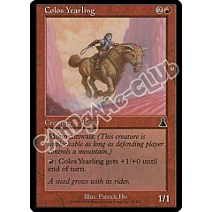 079 / 143 Colos Yearling comune (EN) -NEAR MINT-