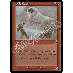 100 / 143 Wild Colos comune (EN) -NEAR MINT-