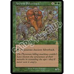 101 / 143 Ancient Silverback rara (EN) -NEAR MINT-