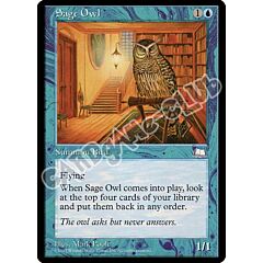 Sage Owl comune (EN) -NEAR MINT-