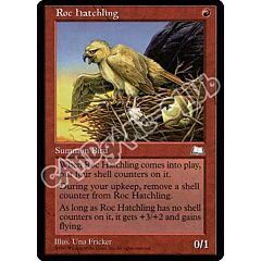Roc Hatchling non comune (EN) -NEAR MINT-