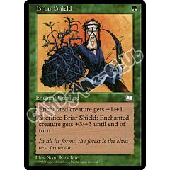 Briar Shield comune (EN) -NEAR MINT-