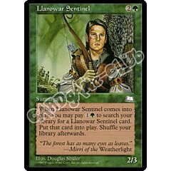 Llanowar Sentinel comune (EN) -NEAR MINT-