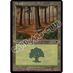 347 / 350 Forest comune (EN) -NEAR MINT-