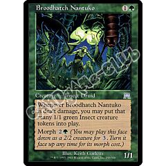 250 / 350 Broodhatch Nantuko non comune (EN) -NEAR MINT-