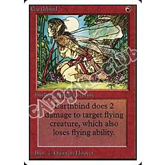 Earthbind comune (EN) -NEAR MINT-