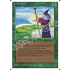 Fastbond rara (EN) -NEAR MINT-