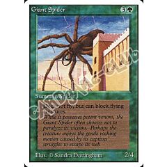 Giant Spider comune (EN) -NEAR MINT-