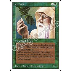 Ley Druid non comune (EN) -NEAR MINT-
