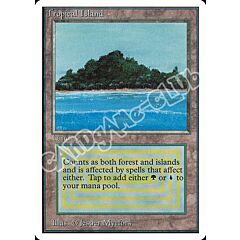 Island comune (EN) -NEAR MINT-