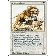 Savannah Lions rara (EN) -NEAR MINT-