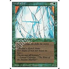 Wall of Ice non comune (EN) -NEAR MINT-