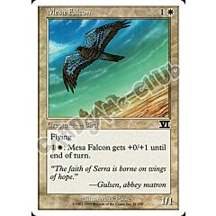 031 / 350 Mesa Falcon comune (EN) -NEAR MINT-