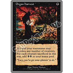 Organ Harvest comune (EN) -NEAR MINT-