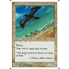 Mesa Falcon comune (EN) -NEAR MINT-