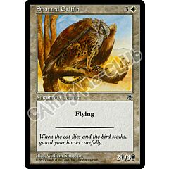 Spotted Griffin comune (EN) -NEAR MINT-
