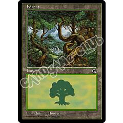 Forest comune (EN) -NEAR MINT-