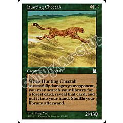 Hunting Cheetah non comune (EN) -NEAR MINT-