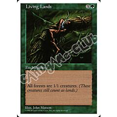 Living Lands rara (EN) -NEAR MINT-