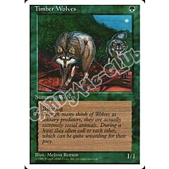 Timber Wolves rara (EN) -NEAR MINT-
