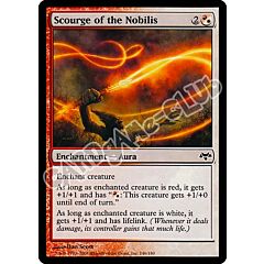 146 / 180 Scouge of the Nobilis comune (EN) -NEAR MINT-