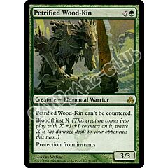 091 / 165 Petrified Wood-Kin rara (EN) -NEAR MINT-
