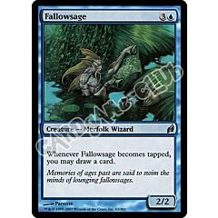 063 / 301 Fallowsage non comune (EN) -NEAR MINT-