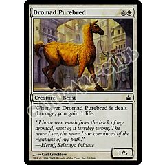 015 / 306 Dromad Purebred comune (EN) -NEAR MINT-