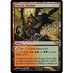 271 / 301 Fire-Lit Thicket rara (EN) -NEAR MINT-
