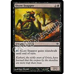 087 / 249 Shore Snapper comune (EN) -NEAR MINT-