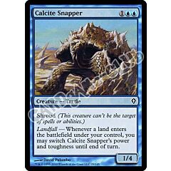 025 / 145 Calcite Snapper comune (EN) -NEAR MINT-