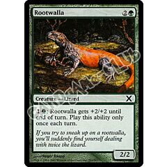 293 / 383 Rootwalla comune (EN) -NEAR MINT-