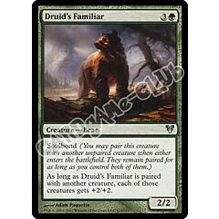 175 / 244 Druid's Familiar non comune (EN) -NEAR MINT-