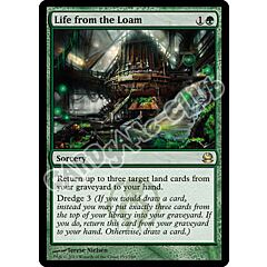 153 / 229 Life from the Loam rara (EN) -NEAR MINT-