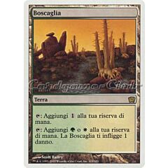 319 / 350 Boscaglia rara (IT) -NEAR MINT-
