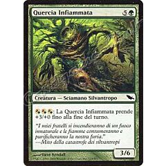 115 / 301 Quercia Infiammata comune (IT) -NEAR MINT-