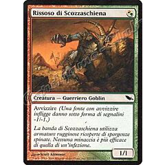 217 / 301 Rissoso di Scozzaschiena comune (IT) -NEAR MINT-