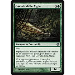 123 / 249 Gaviale delle Alghe non comune (IT) -NEAR MINT-