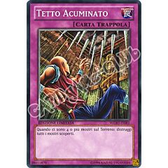 WGRT-IT081 Tetto Acuminato comune Edizione Limitata (IT) -NEAR MINT-
