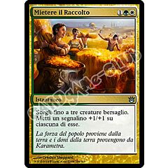 154 / 165 Mietere il Raccolto non comune (IT)