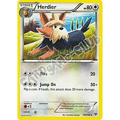 109 / 146 Herdier non comune (EN) -NEAR MINT-