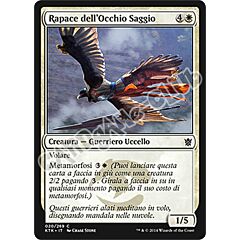 020 / 269 Rapace dell'Occhio Saggio comune (IT) -NEAR MINT-