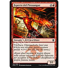 101 / 269 Esperto del Pirosangue comune (IT) -NEAR MINT-