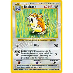 040 / 102 Raticate non comune unlimited (EN) -NEAR MINT-