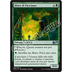 208 / 269 Muro di Pacciame non comune (IT) -NEAR MINT-
