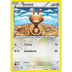 081 / 106 Sentret comune (IT) -NEAR MINT-