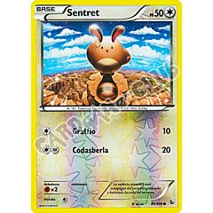 081 / 106 Sentret comune foil reverse (IT) -NEAR MINT-